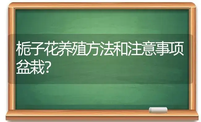 栀子花养殖方法和注意事项盆栽？ | 绿植常识