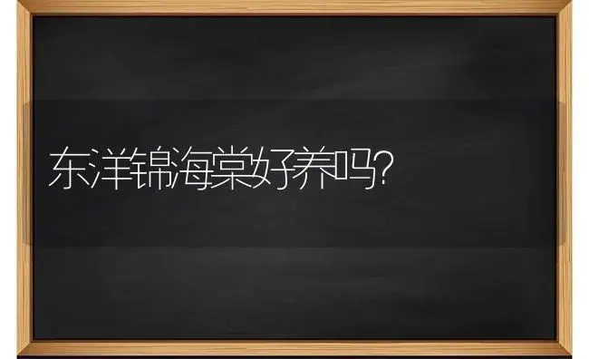 君子兰人播种到开花需要多长时间？ | 绿植常识