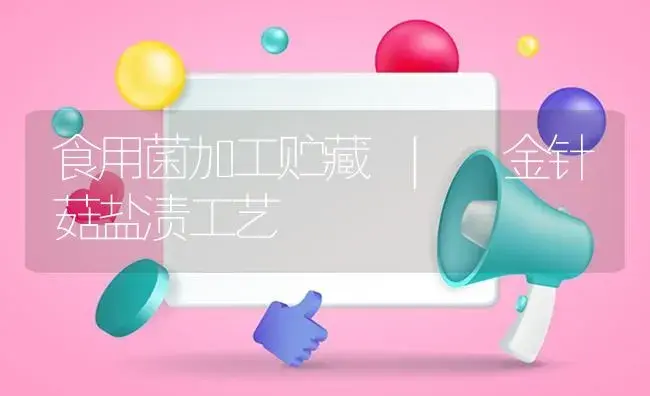 金针菇盐渍工艺 | 菌菇种植