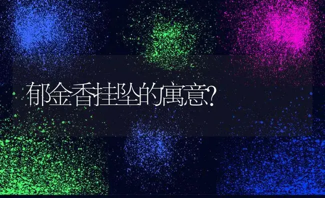 风信子2次开花的详细步骤？ | 绿植常识