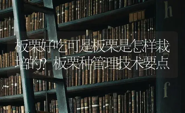 板栗好吃可是板栗是怎样栽培的？板栗种管理技术要点 | 果木种植