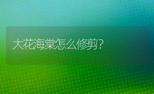 大花海棠怎么修剪？ | 绿植常识