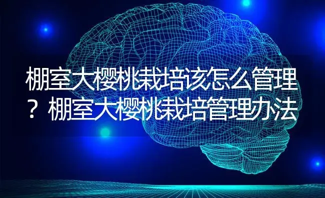 棚室大樱桃栽培该怎么管理？棚室大樱桃栽培管理办法 | 果木种植