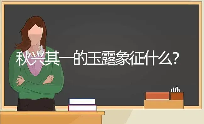 秋兴其一的玉露象征什么？ | 多肉养殖