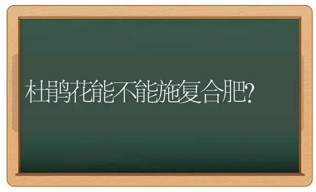 杜鹃花能不能施复合肥？ | 绿植常识