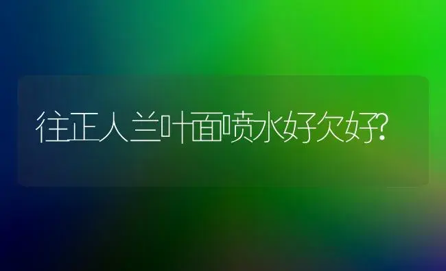 往正人兰叶面喷水好欠好? | 家庭养花