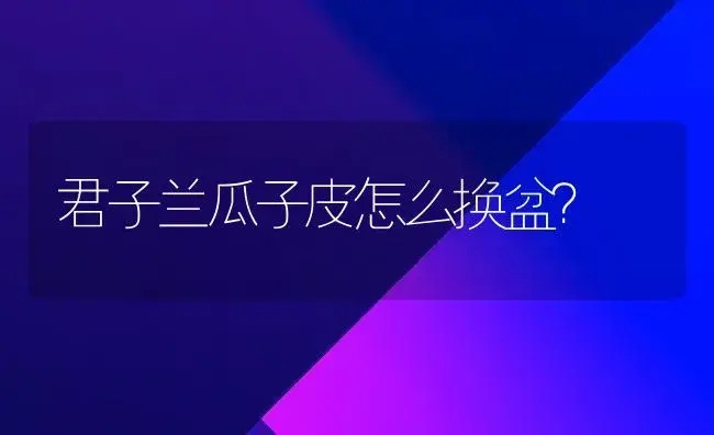 君子兰瓜子皮怎么换盆？ | 绿植常识