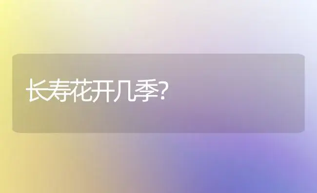 长寿花开几季？ | 多肉养殖