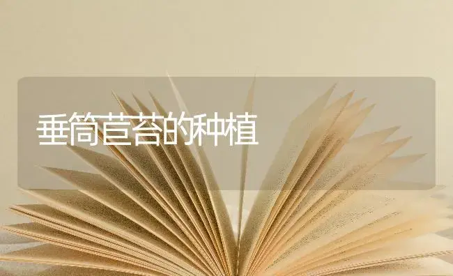 垂筒苣苔的种植 | 特种种植