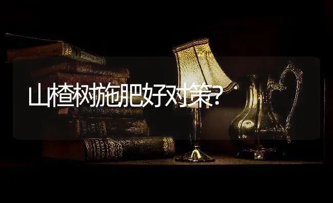 山楂树施肥好对策？ | 果木种植