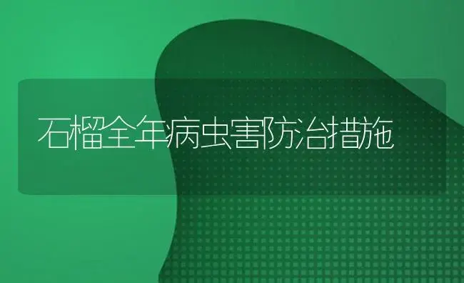 石榴全年病虫害防治措施 | 果木种植