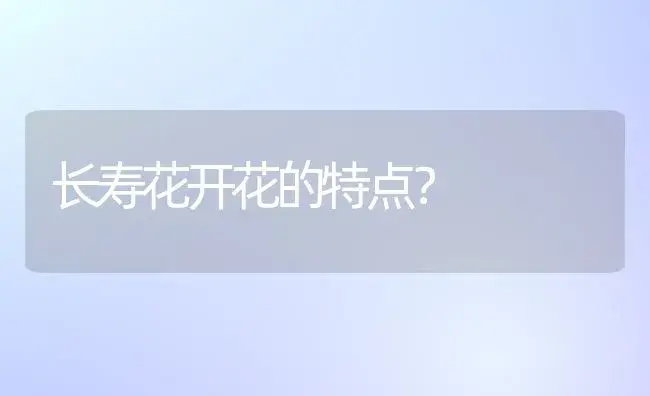 长寿花开花的特点？ | 多肉养殖