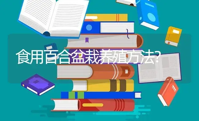 食用百合盆栽养殖方法？ | 绿植常识