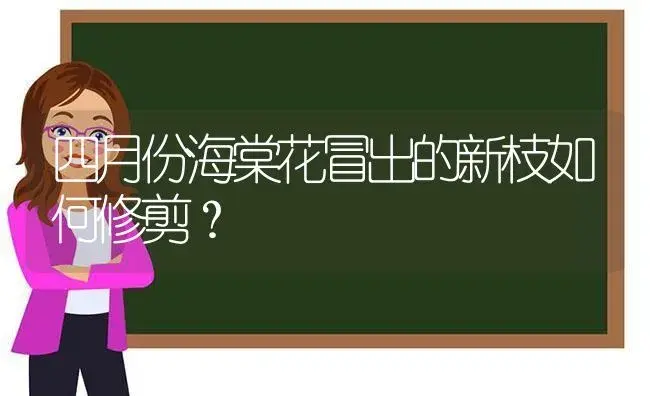 四月份海棠花冒出的新枝如何修剪？ | 绿植常识