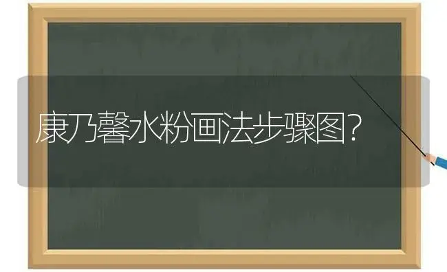 康乃馨水粉画法步骤图？ | 绿植常识