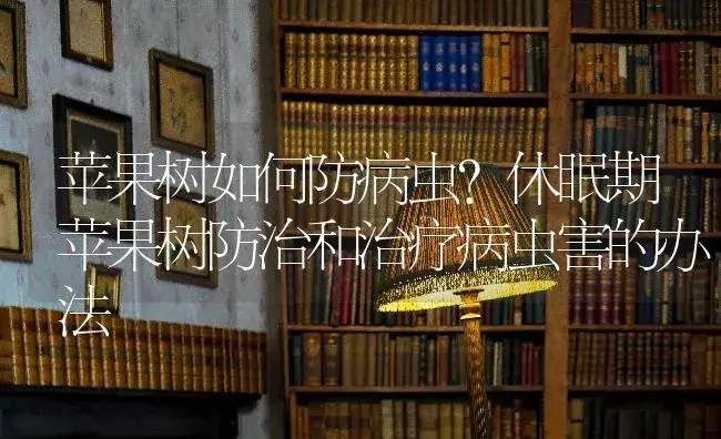 苹果树如何防病虫？休眠期苹果树防治和治疗病虫害的办法 | 果木种植