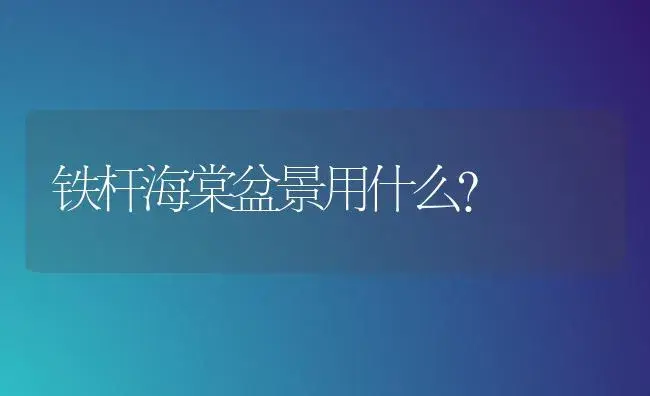 铁杆海棠盆景用什么？ | 绿植常识