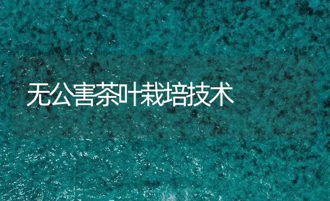 无公害茶叶栽培技术 | 农作物种植