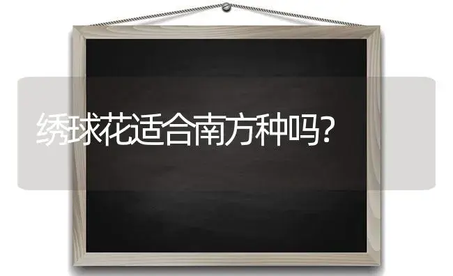 绣球花适合南方种吗？ | 绿植常识