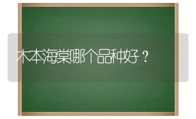 木本海棠哪个品种好？ | 绿植常识