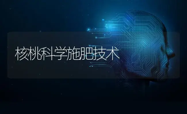 核桃科学施肥技术 | 果木种植