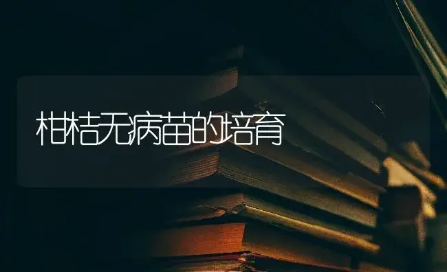 柑桔无病苗的培育 | 特种种植