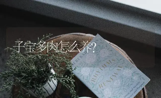 子宝多肉怎么养？ | 多肉养殖