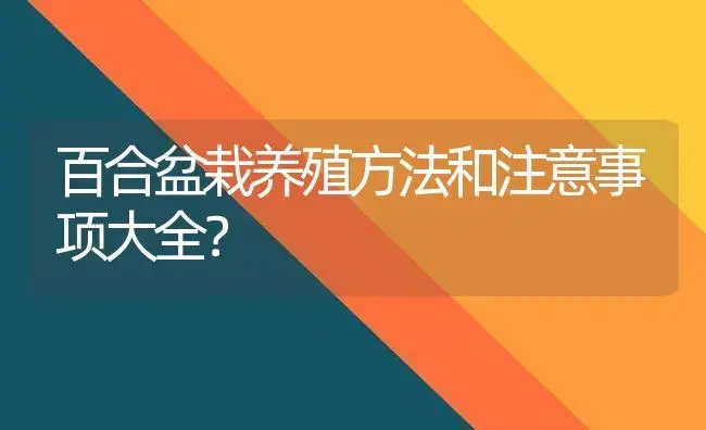 百合盆栽养殖方法和注意事项大全？ | 绿植常识