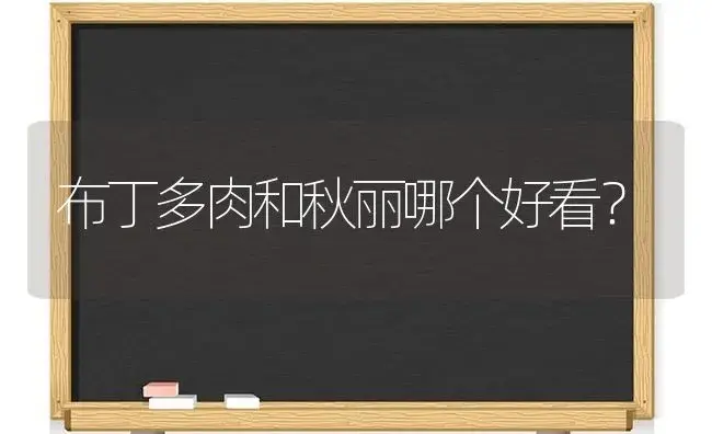 布丁多肉和秋丽哪个好看？ | 多肉养殖