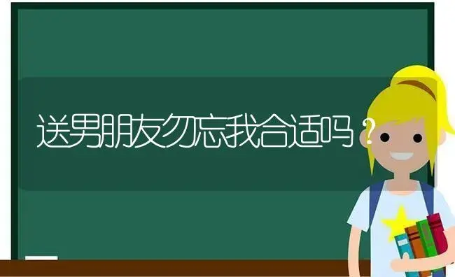 送男朋友勿忘我合适吗？ | 绿植常识