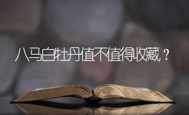 八马白牡丹值不值得收藏？ | 多肉养殖