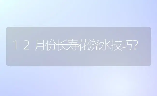 12月份长寿花浇水技巧？ | 多肉养殖