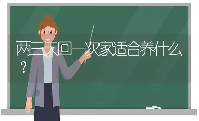 两三天回一次家适合养什么？ | 多肉养殖