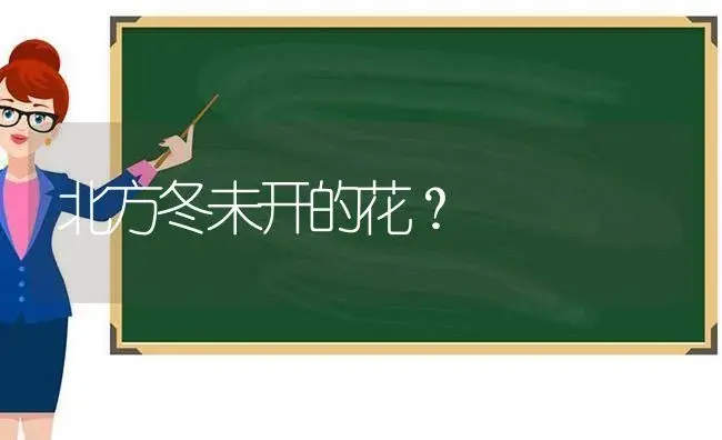 北方冬未开的花？ | 绿植常识