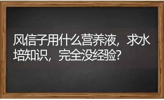 风信子用什么营养液，求水培知识，完全没经验？ | 绿植常识