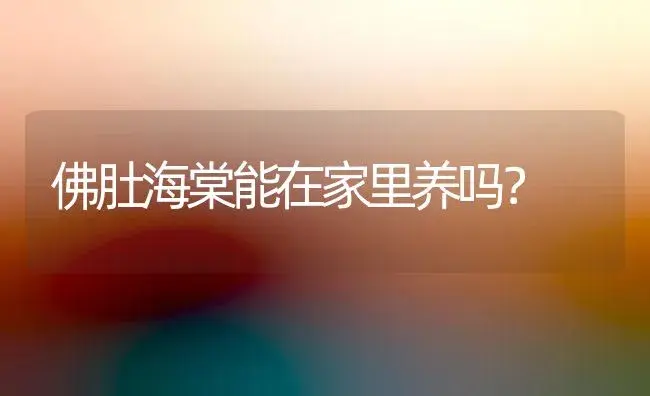 送麦穗代表什么意思？ | 绿植常识