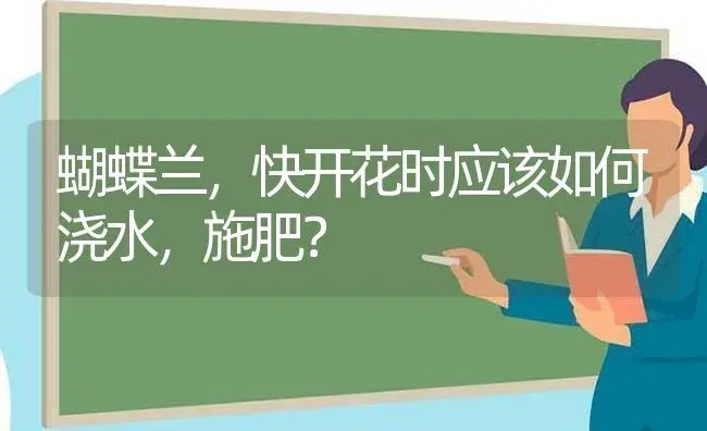 蝴蝶兰，快开花时应该如何浇水，施肥？ | 绿植常识