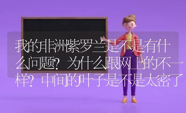 我的非洲紫罗兰是不是有什么问题？为什么跟网上的不一样？中间的叶子是不是太密了？怎么办？ | 绿植常识