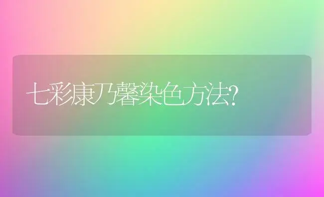 七彩康乃馨染色方法？ | 绿植常识