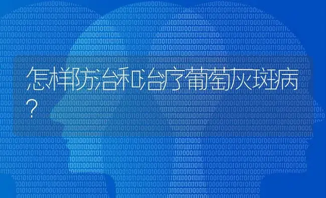 怎样防治和治疗葡萄灰斑病？ | 特种种植