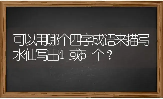 可以用哪个四字成语来描写水仙写出4或5个？ | 绿植常识