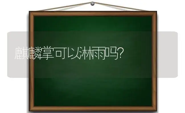 麒麟掌可以淋雨吗？ | 多肉养殖