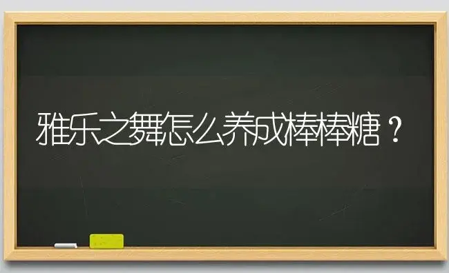 雅乐之舞怎么养成棒棒糖？ | 多肉养殖