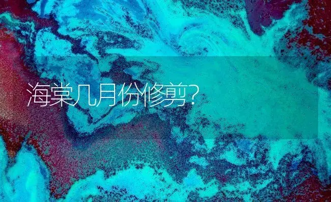 海棠几月份修剪？ | 绿植常识