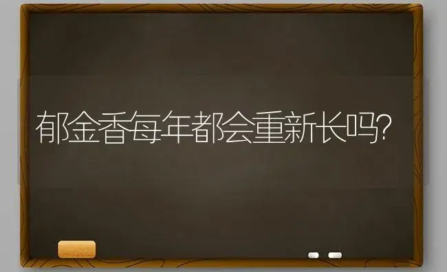 郁金香每年都会重新长吗？ | 绿植常识