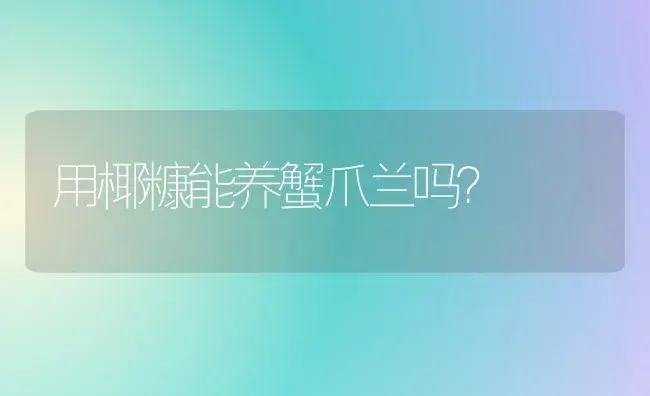 玉树三色花月锦的养殖方法？ | 多肉养殖