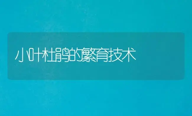 小叶杜鹃的繁育技术 | 家庭养花