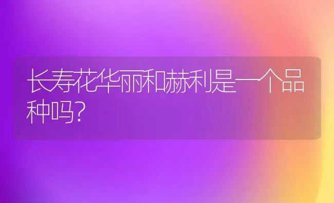 长寿花华丽和赫利是一个品种吗？ | 多肉养殖