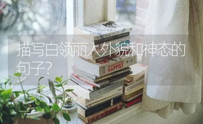 描写白领丽人外貌和神态的句子？ | 绿植常识