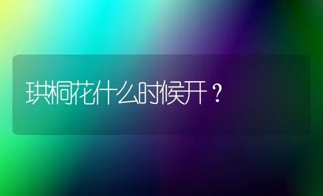 珙桐花什么时候开？ | 家庭养花